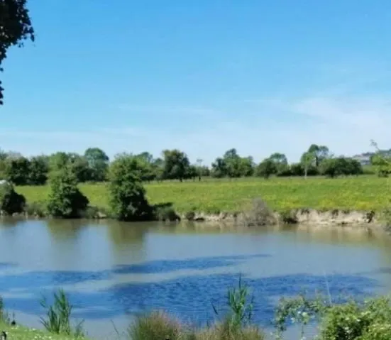 Un Dans Un Chateau Deauville